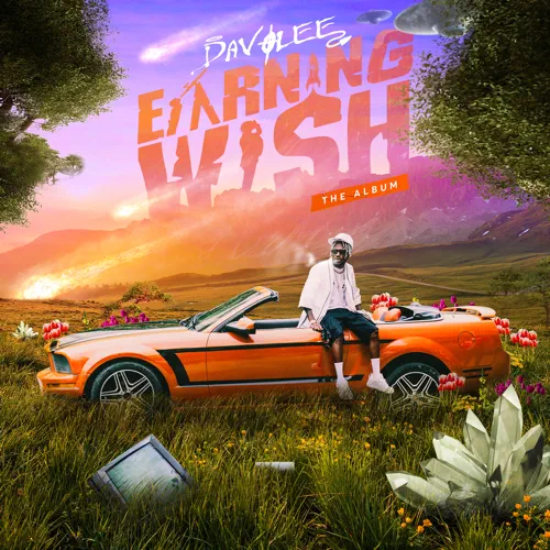 Earning Wish