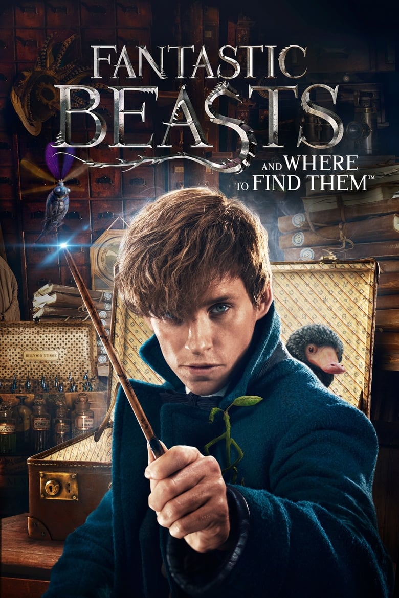 Fantastic Beasts and Where to Find Them (2016) h6NYfVUyM6CDURtZSnBpz647Ldd