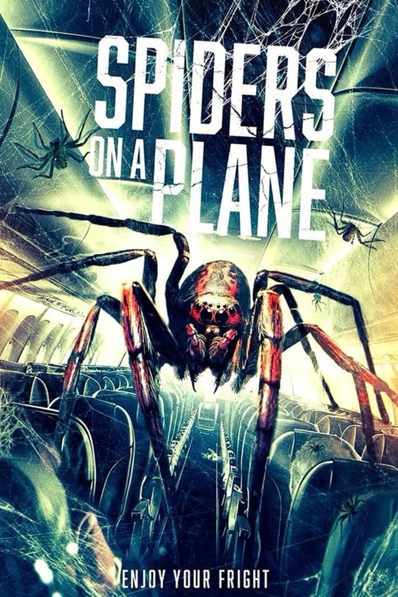 Spiders on a Plane (2024) Spiders on a Plane