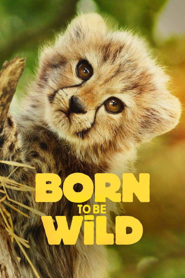 Born to Be Wild (2025) Season 1 m1Ih0GIUIWez6H4vNOdiKSow4w.jpg
