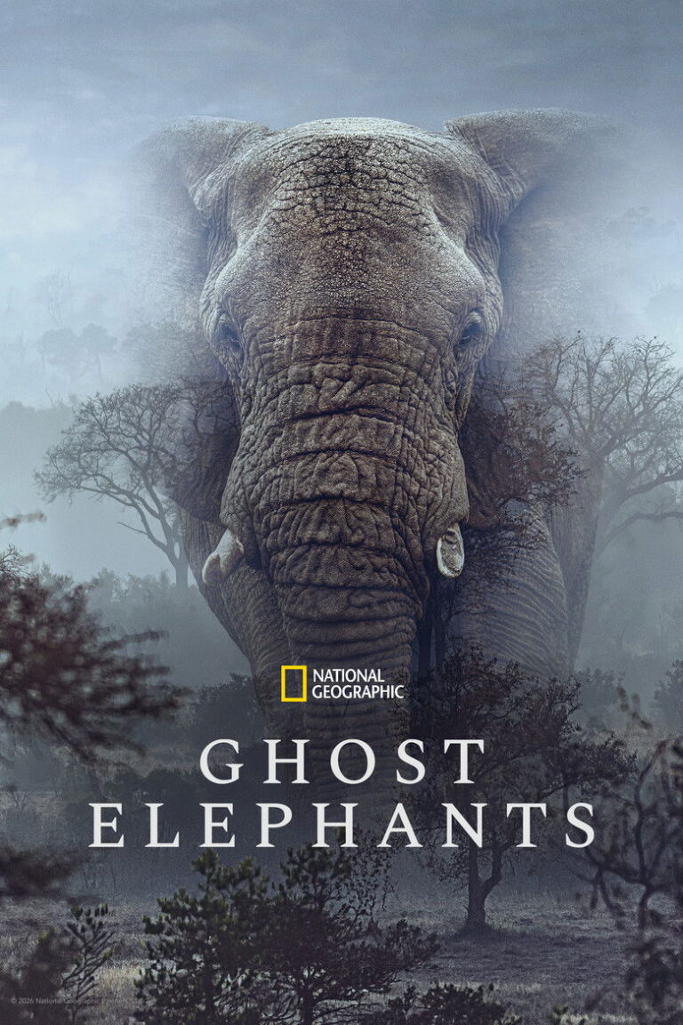 Ghost Elephants (2026) h2zN5Oo89DjwY9Q4F8zto5MlnNb.jpg