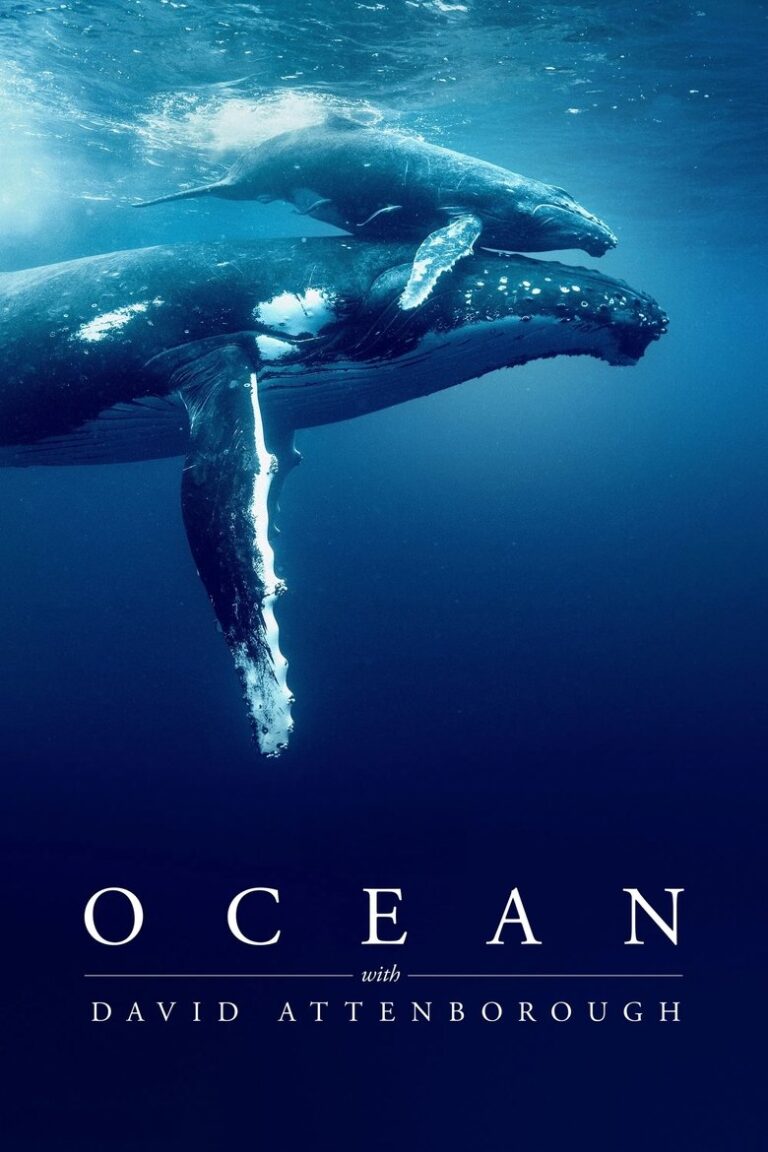 Ocean with David Attenborough (2025) oAKzcqUCP3EK7rgAx9Jj8Futv8O.jpg